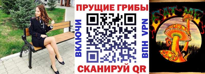 Галлюциногенные грибы GOLDEN TEACHER  Купить где  Курчалой 