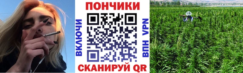 Бошки марихуана THC 21% Курчалой